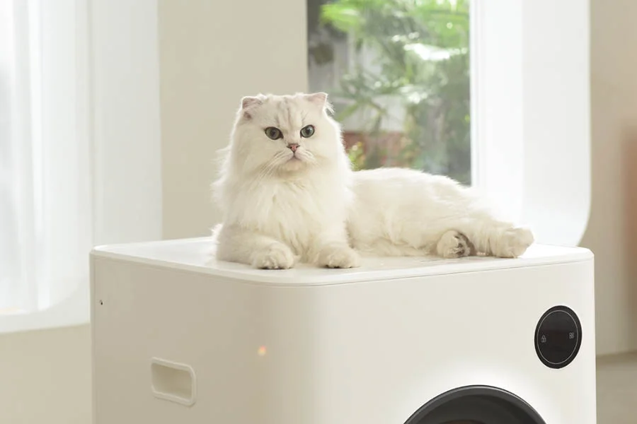 best litter for automatic litter box