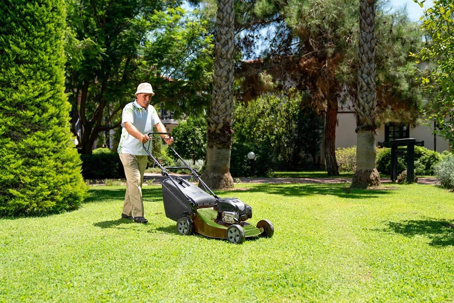 best push lawnmowers